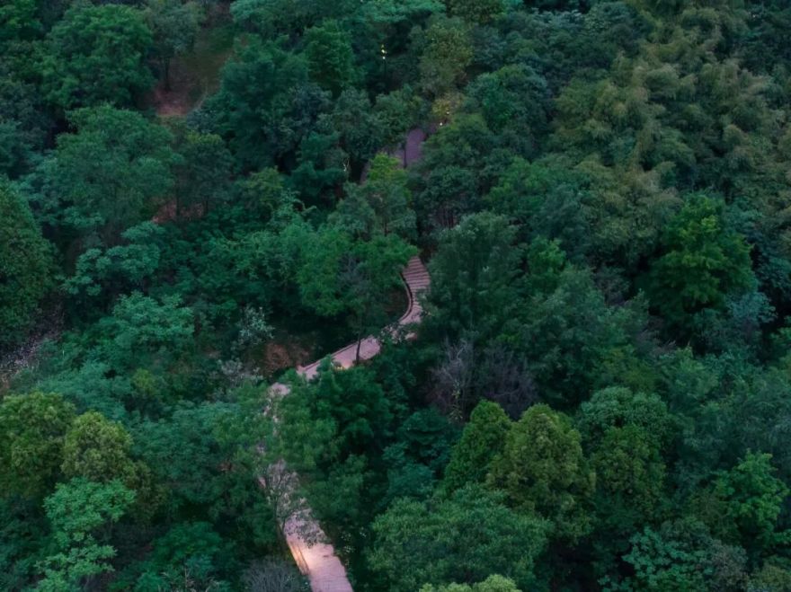 城市掌心的生态山野——麓野公园-123