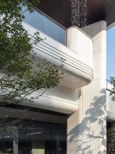 海派艺术生活演绎|金茂泮湖满庭-68