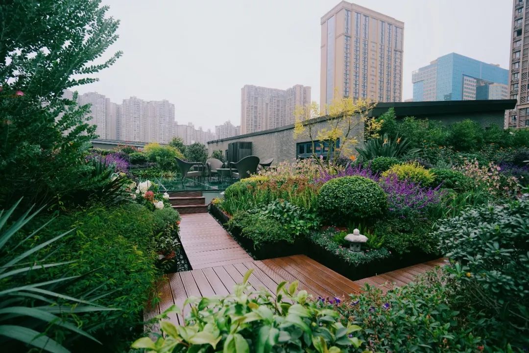 空中花园的粉紫色浪漫 | 乐梵造园的秋韵花境改造-18