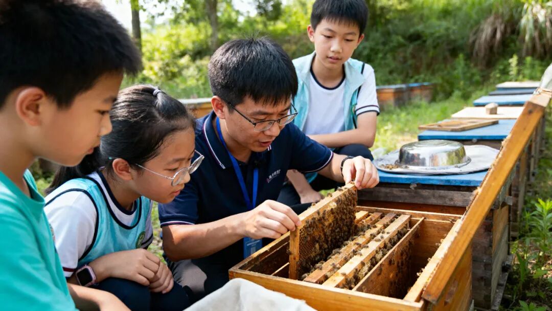 华中百亩“本草秘境”：三产融合营地创新规划与运营方案-33