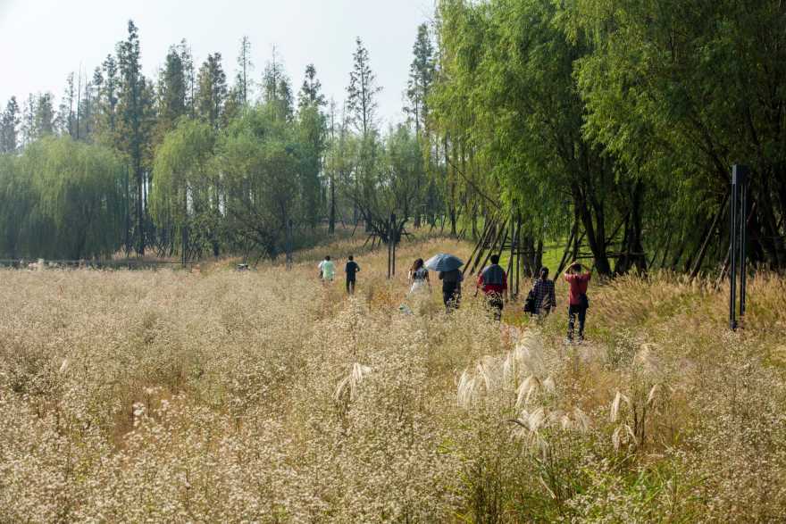 长沙巴溪州公园-27