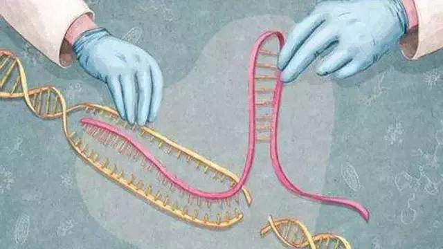 《Science》公布的 125 个最具挑战性的科学问题,你感兴趣的是哪个?-142