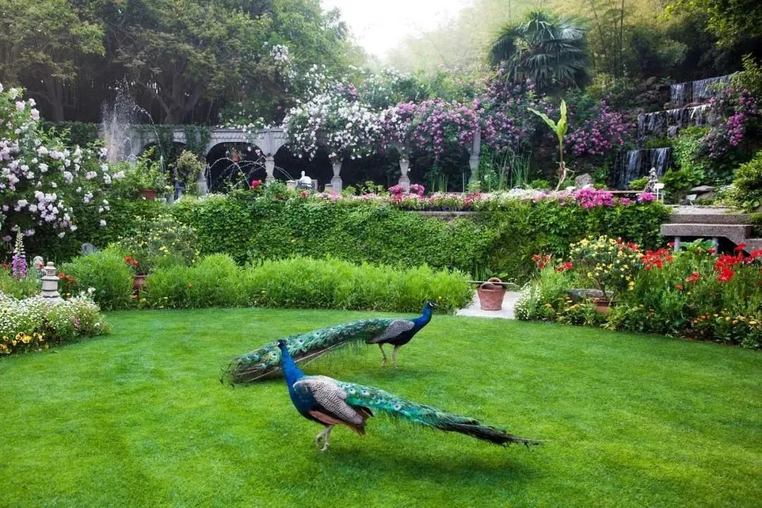 三棵树庄园 | 摄影家的心灵秘境-60