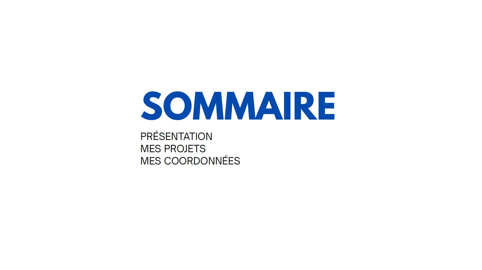 PORTFOLIO FANNIE DE SMEDT-1