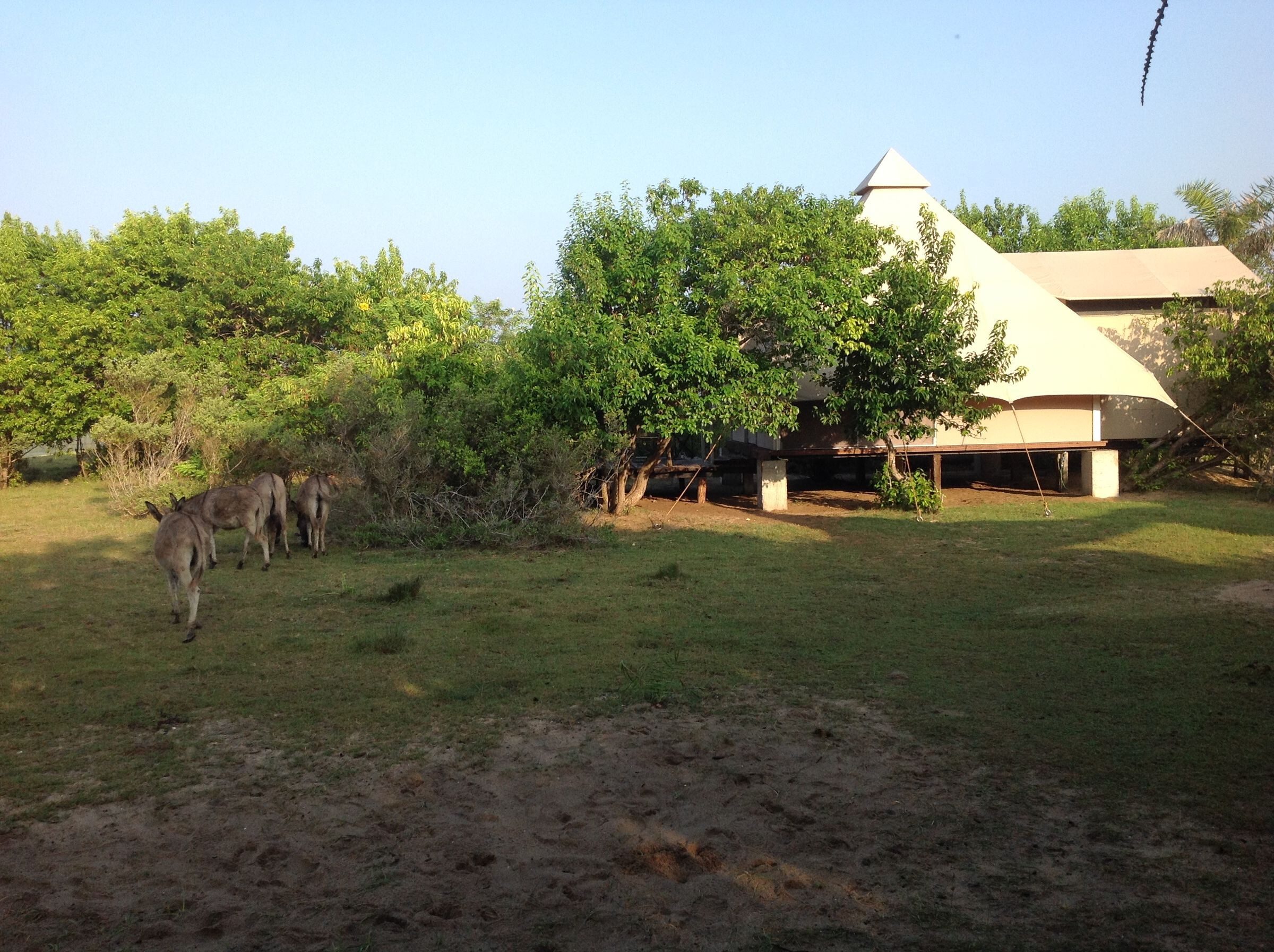 生态奢华，融入自然的帐篷营地-24