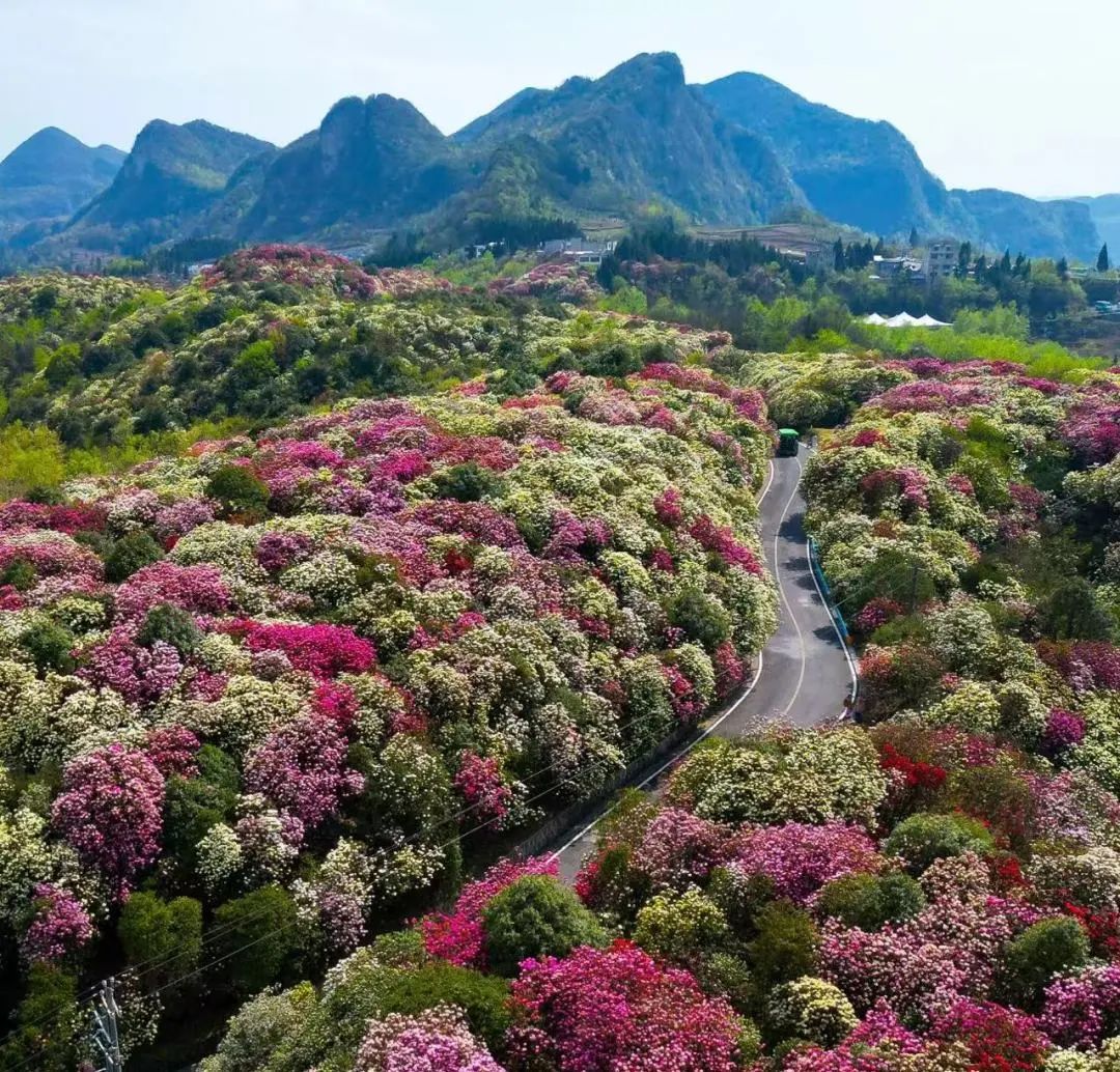 百里杜鹃天坑大草原户外探险,坡地运动项目丨中国毕节丨新空间集团-2