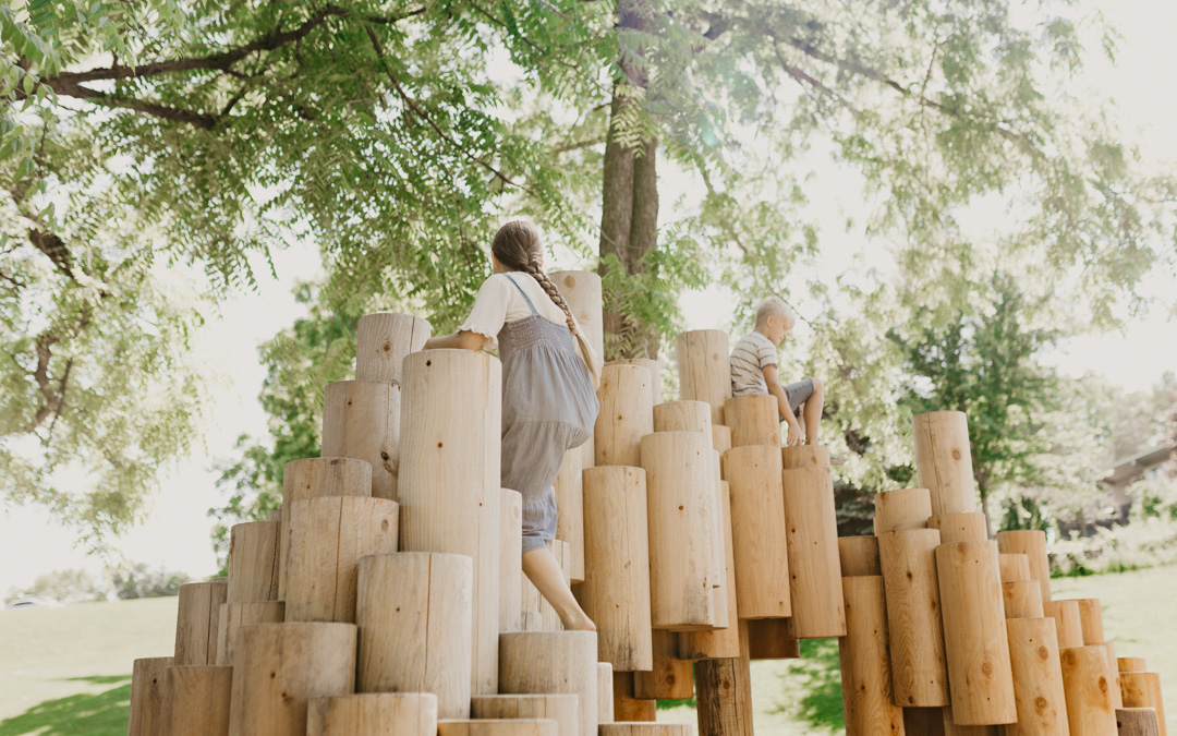 无忧之域 · Earthscape丨美国-87