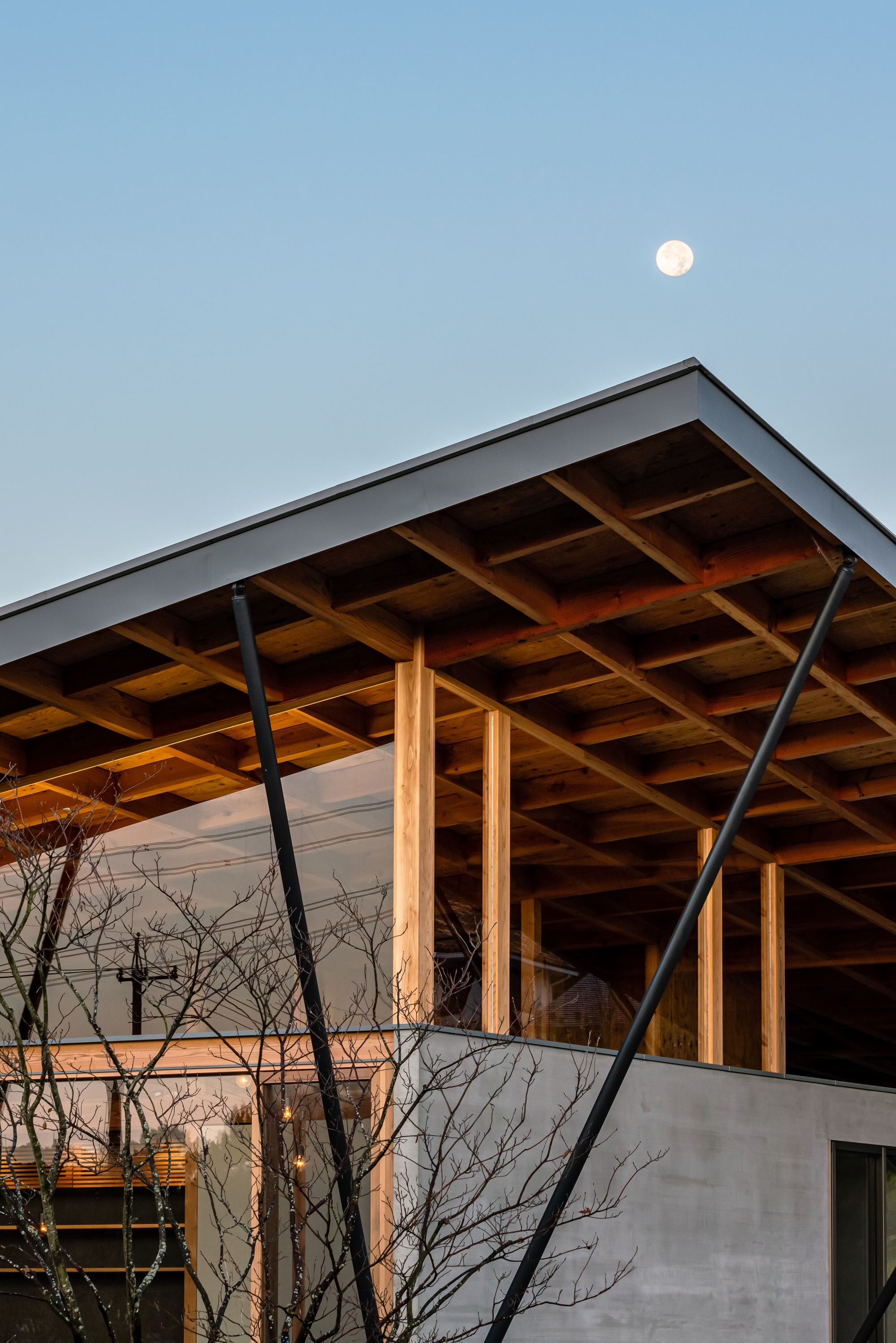 哈扎马乔宅邸丨日本丨Tatsuya Kawamoto + Associates-22