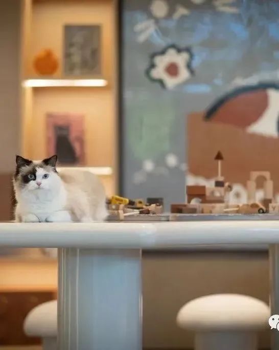 龙湖·天曜售楼处丨朗生-27