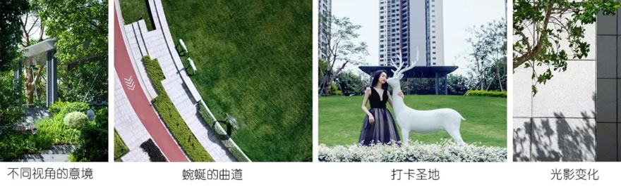 深圳君胜·熙珑山丨中国深圳-44