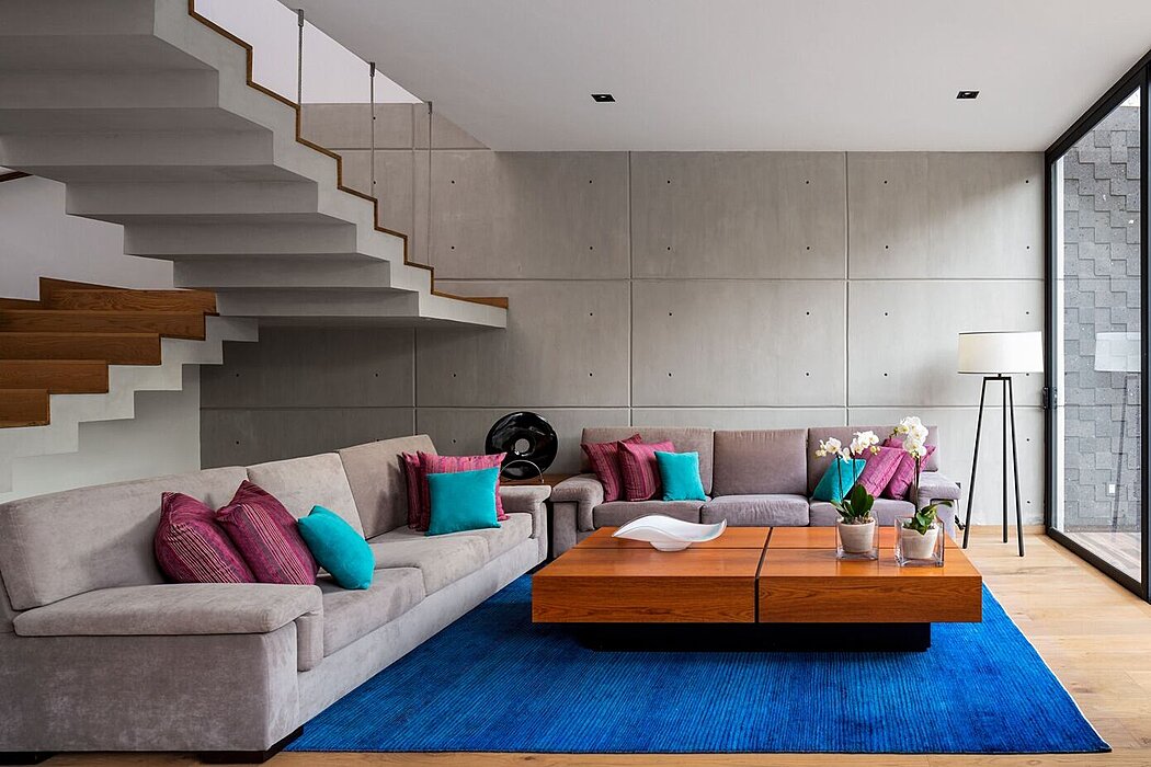 科查瓜宅邸丨墨西哥墨西哥城丨Natalia Menache-2