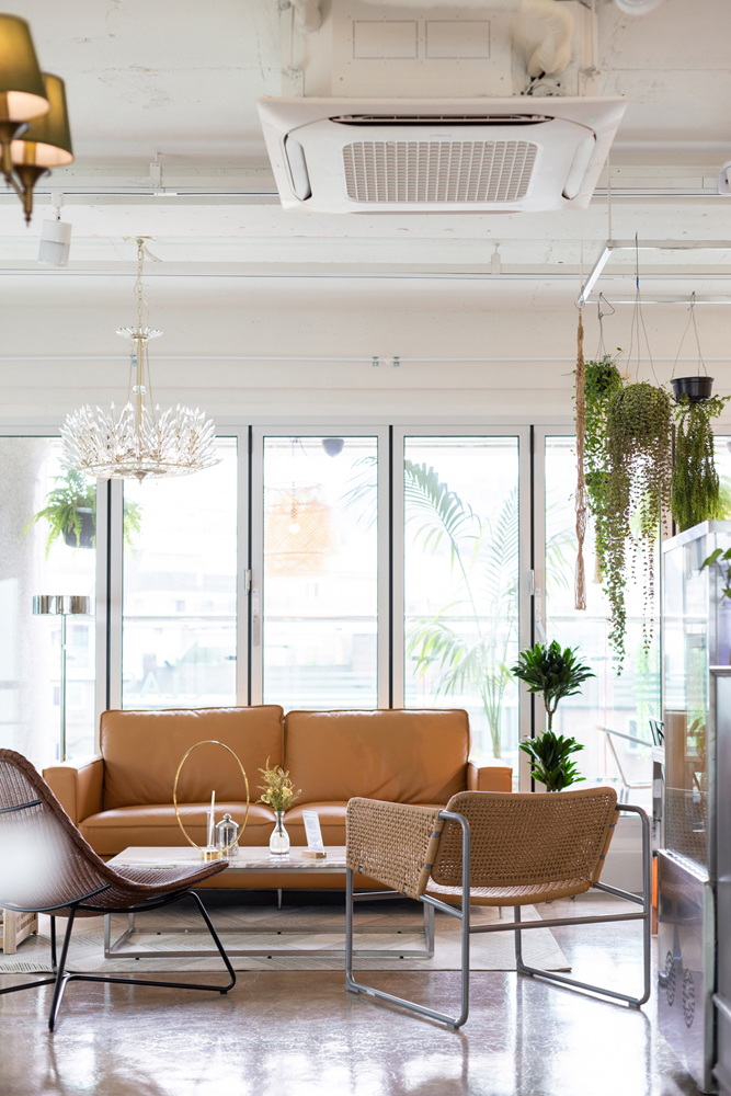 25 平米植物工作室，自然风格与咖啡香的完美融合-16