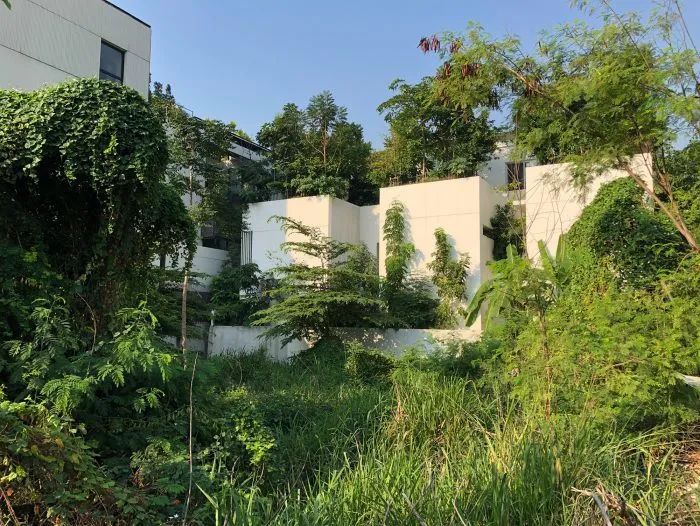 曼谷“森林之家” | 绿色住宅的可持续设计-31