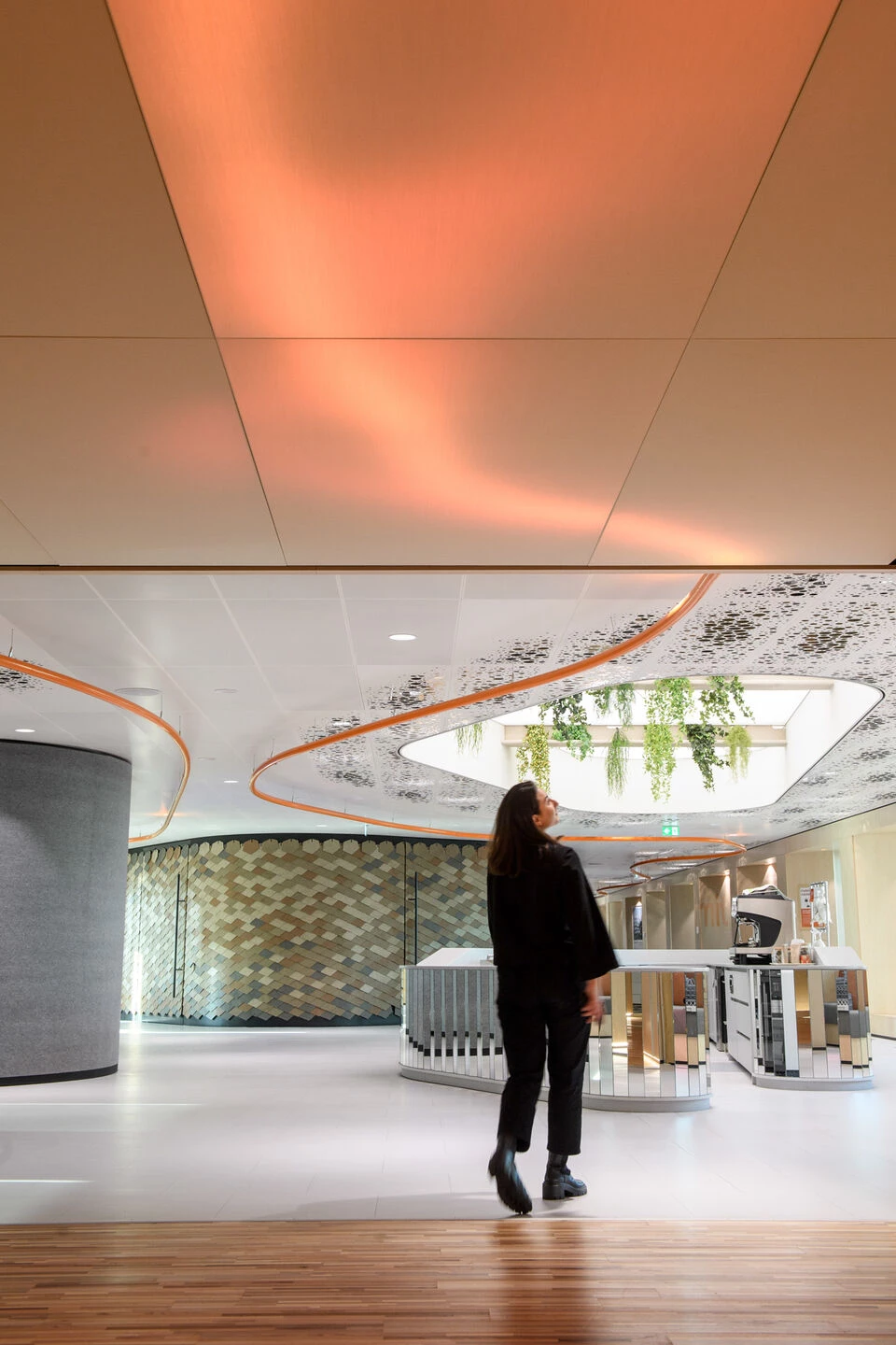 NN 活动空间丨荷兰海牙-10