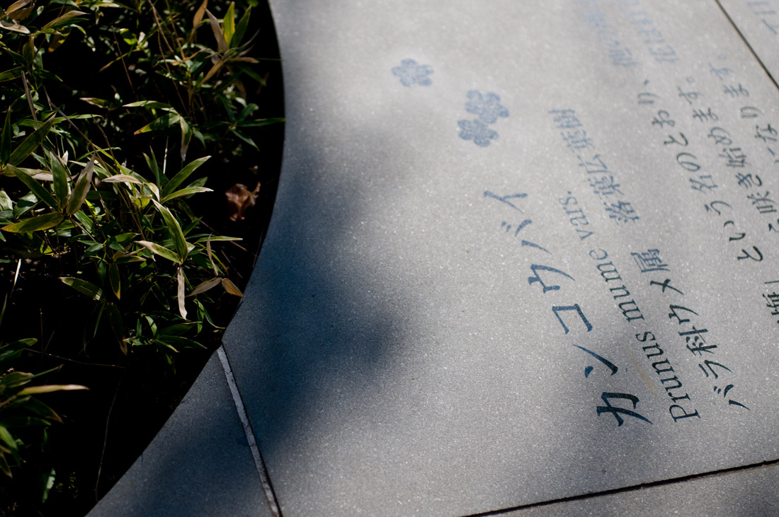 饭田桥普拉诺-27