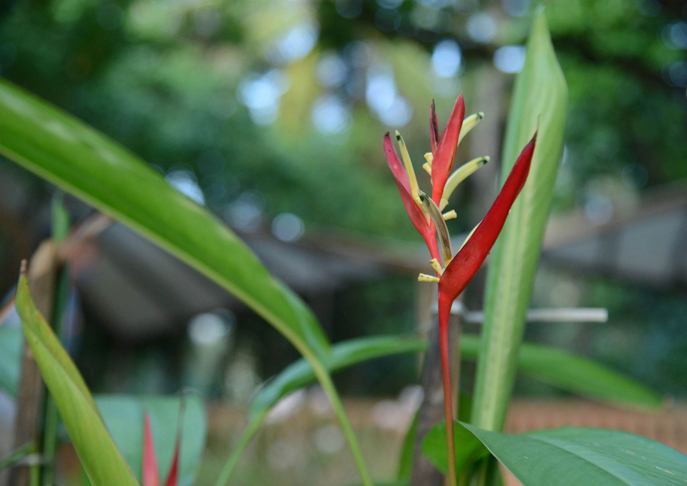 Juhu Beach 海滨公园丨印度丨Atelier ARBO-34