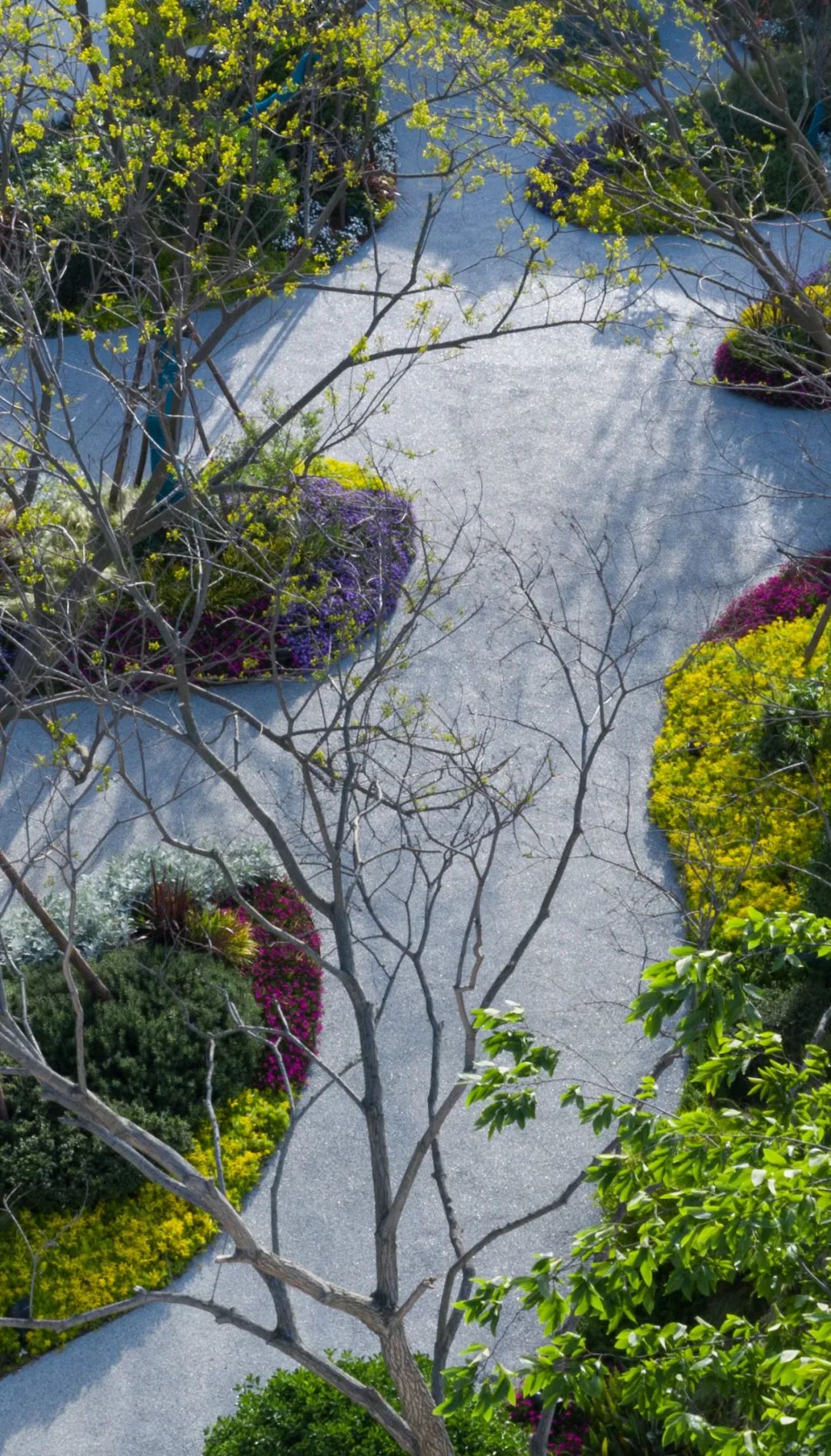 抵达彼岸剧场  禹州耀润 · 学府上院丨中国平顶山丨山水比德—郑州院-14
