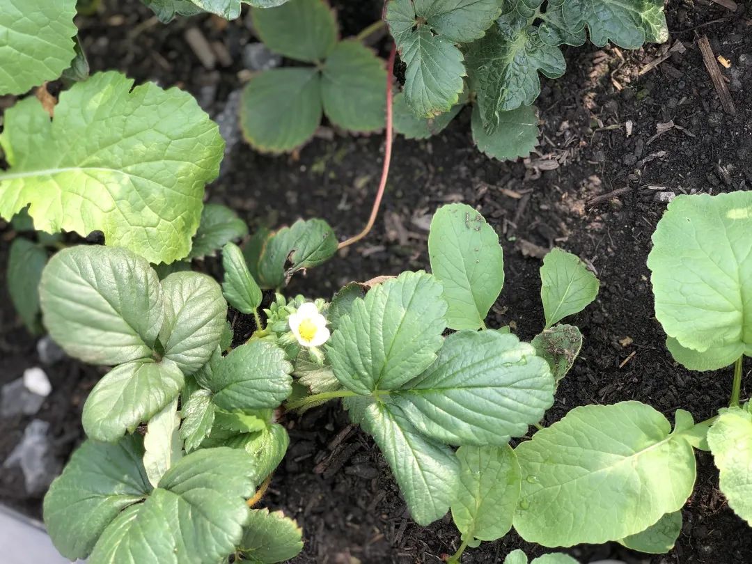 成都创想公社 | 从写字楼到创意仓库的蜕变-110