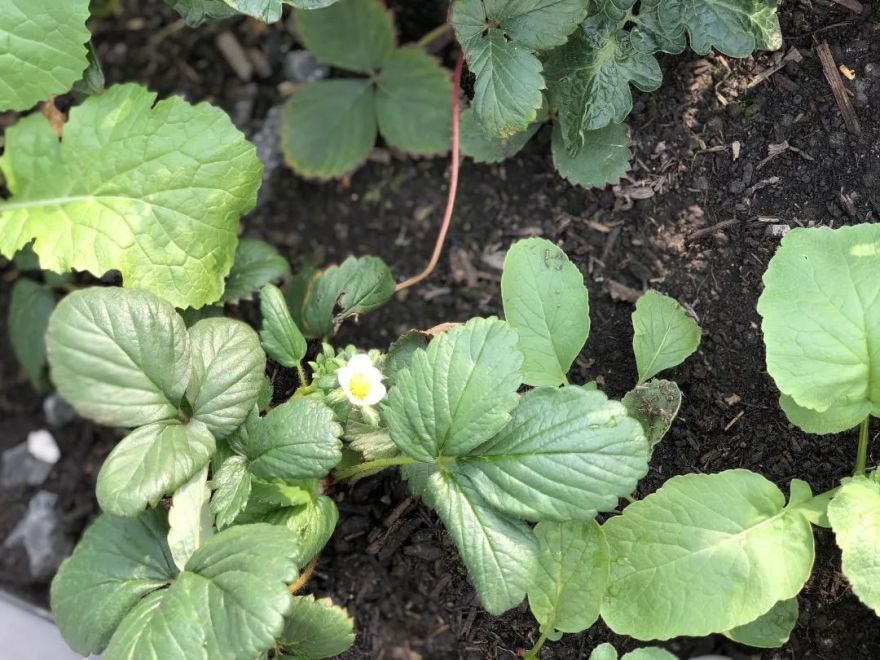 成都创想公社 | 从写字楼到创意仓库的蜕变-110