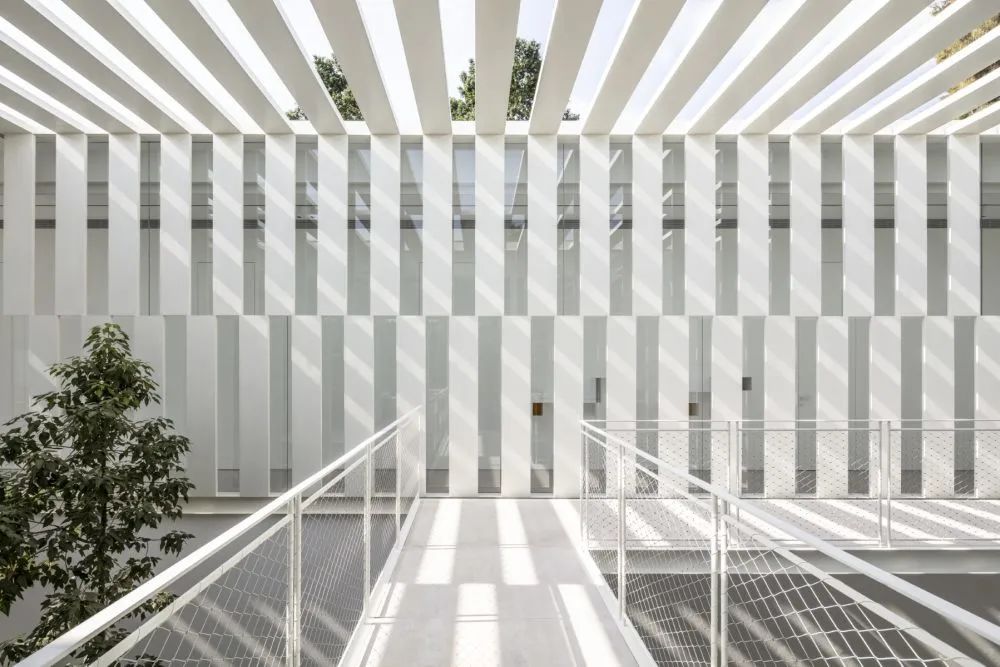 皮苏·凯德姆建筑师事务所-191