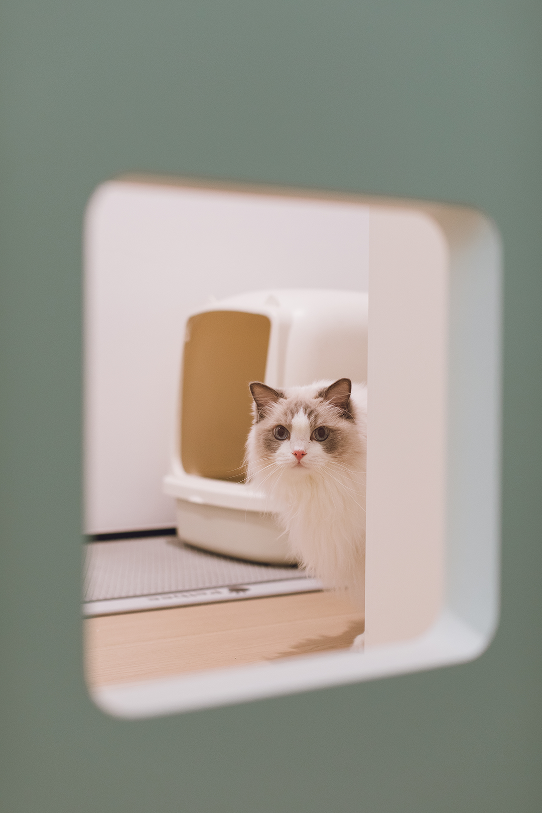 新作 · 余颢凌|深圳700㎡ 半山观海别墅丨中国深圳丨STUDIO.Y室内设计事务所,四川尚舍家室内设计-205