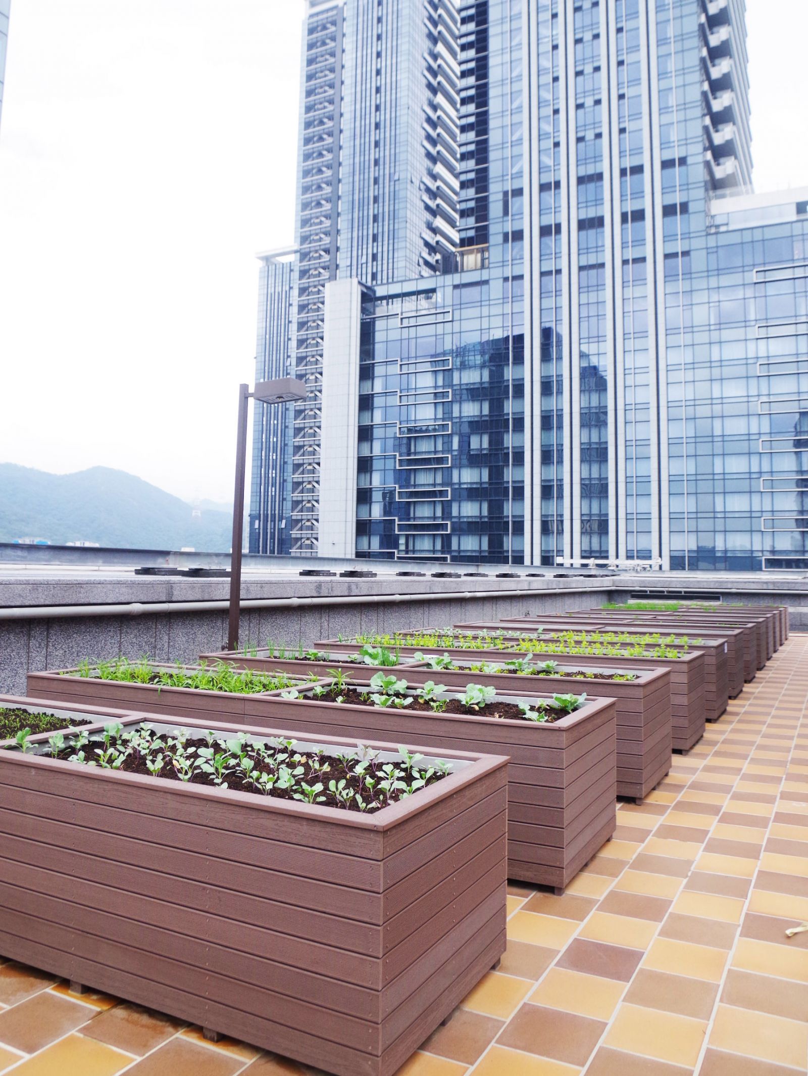 大直豐匯中庭住宅景觀設計丨中国台北丨梁正芳建築師事務所,玫格聯合建築師事務所-11