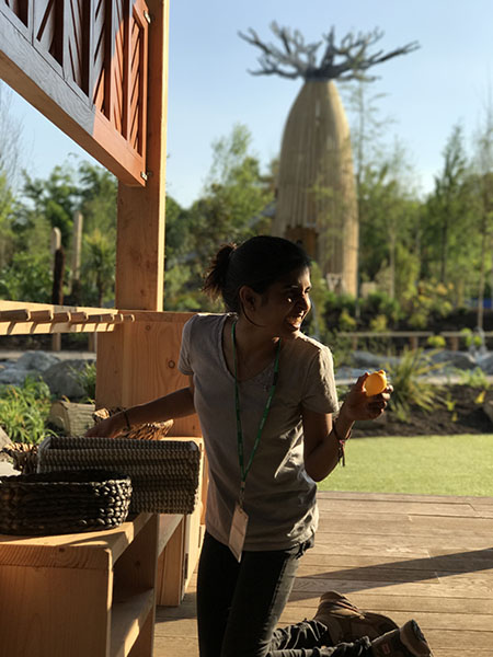 马达加斯加剧  英联邦银行球场景观（注：这里BCA一般常见是澳大利亚联邦银行Commonwealth Bank of Australia英文缩写这里推测与其有关，表述为英联邦银行球场景观，若BCA有其它特定含义可根据实际情况调整） 丨United KingdomChester丨BCA Landscape,Handspring Design等-7