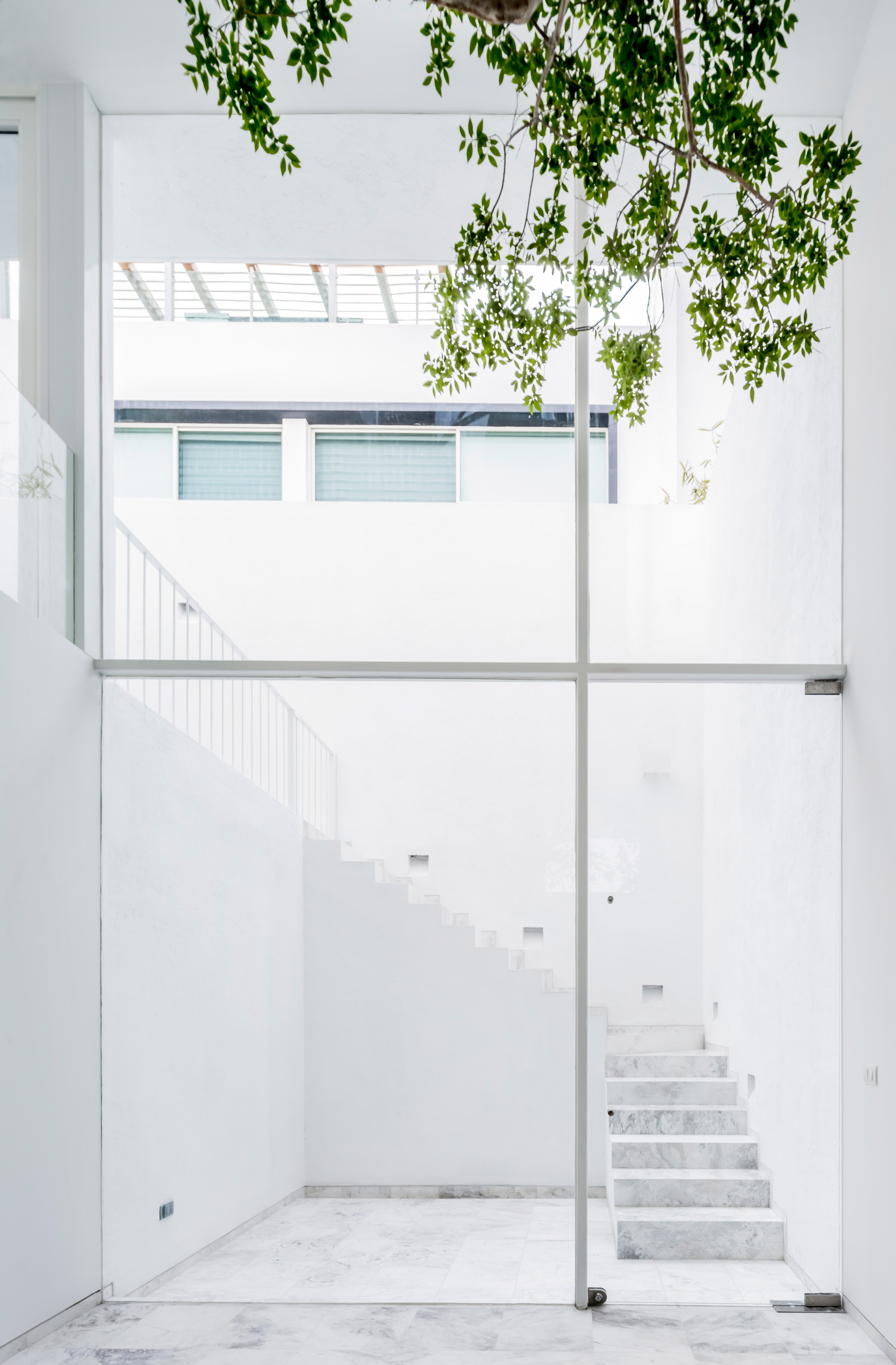 Abraham Cota Paredes' inward-looking Cave House features huge window to tree-planted atrium-5