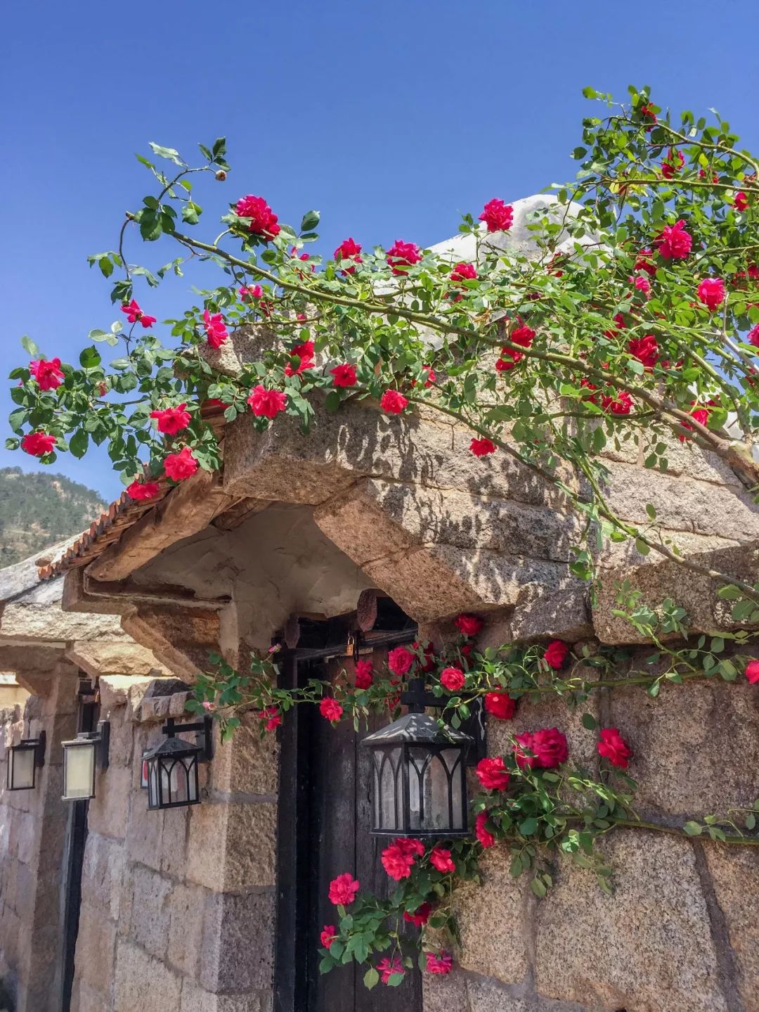 东麦窑社区美丽乡村环境综合整治工程丨中国青岛-84