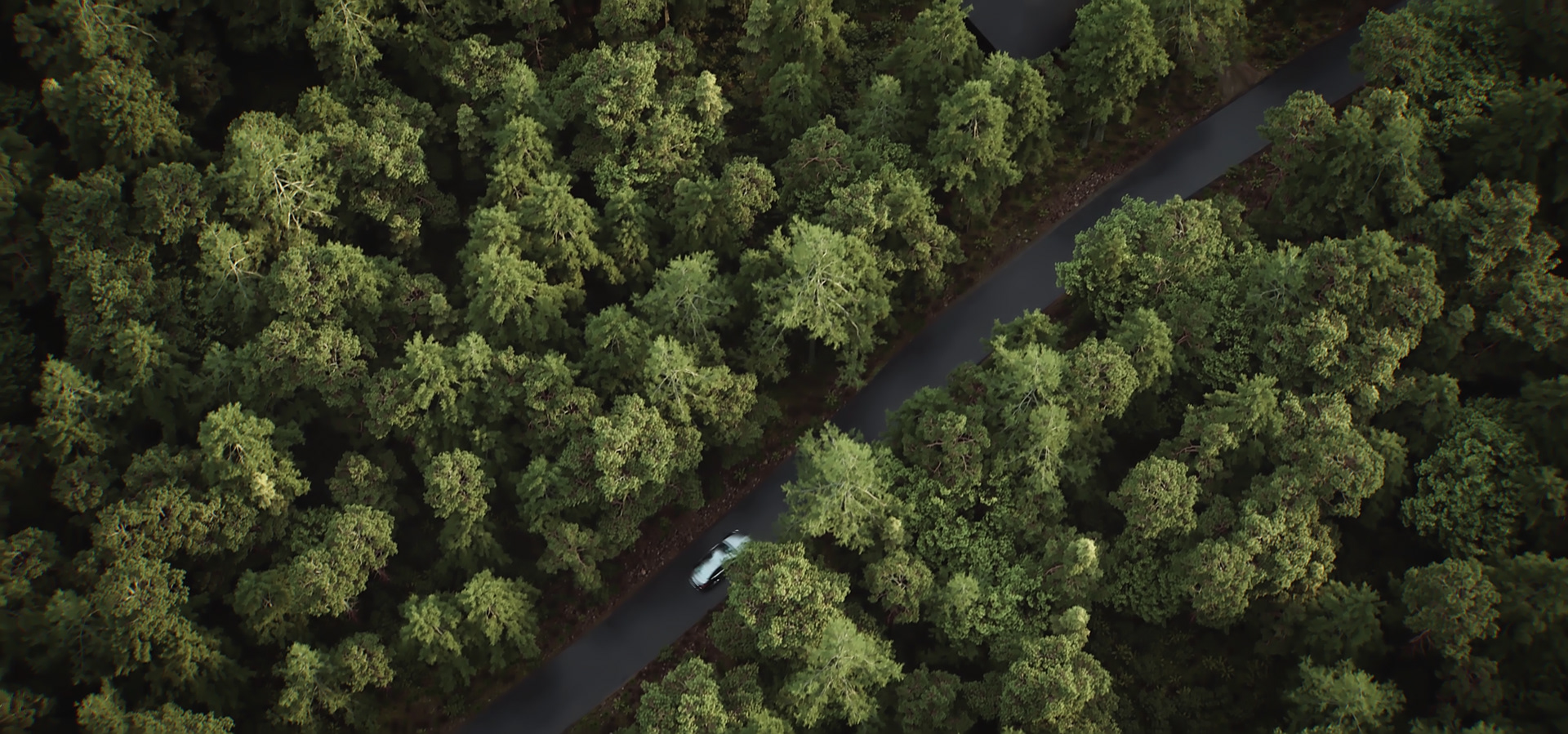 维普厨房动画项目-7