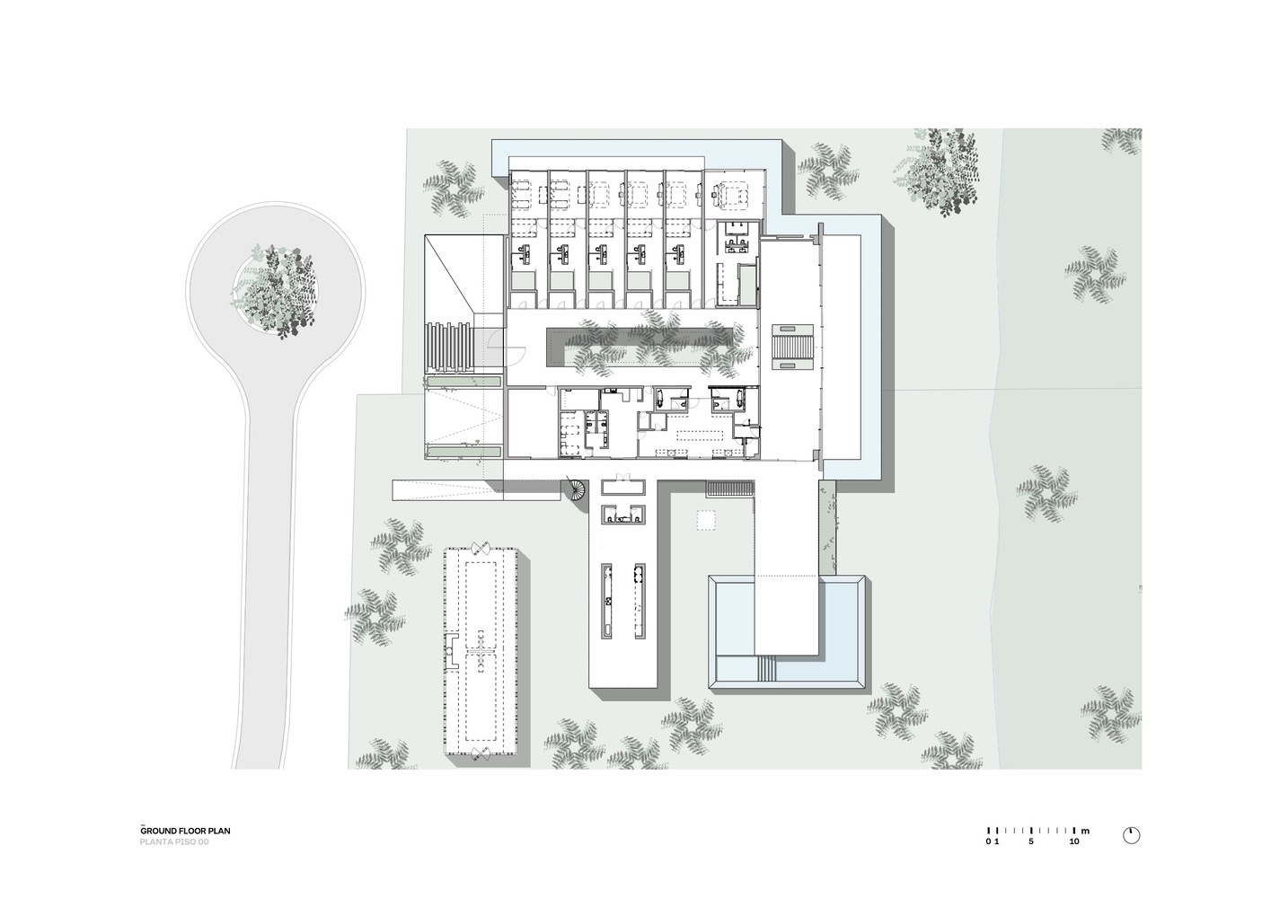 巴西丛林中的 01 TVN House-4