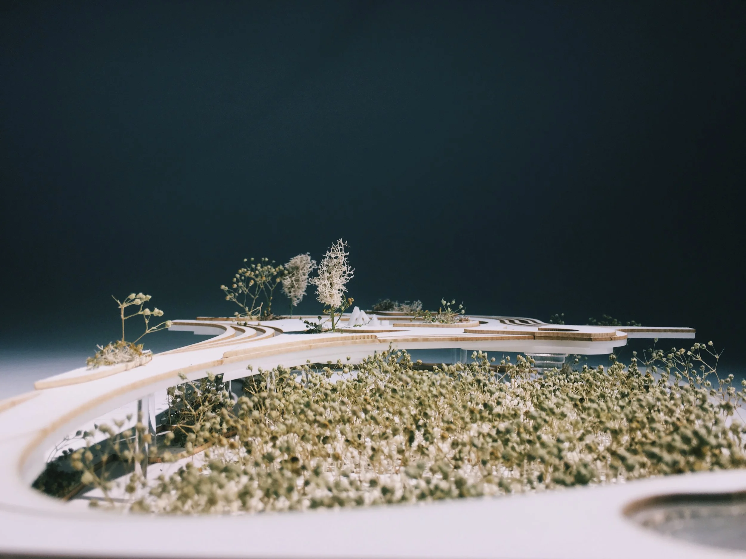 城市树木农场 + 公园丨美国曼哈顿-37