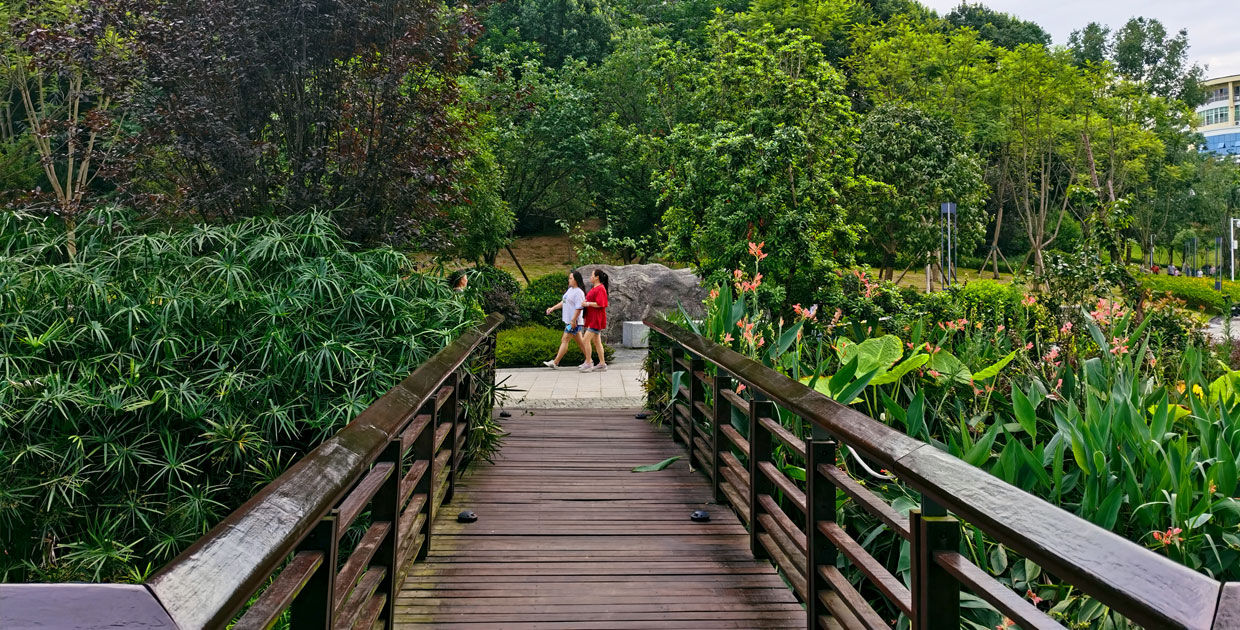 潼南人民生态公园-25