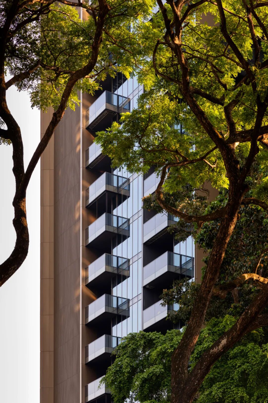 SCDAArchitects|CuscadenReserve：于热带于都市，诠释包豪斯精神-9