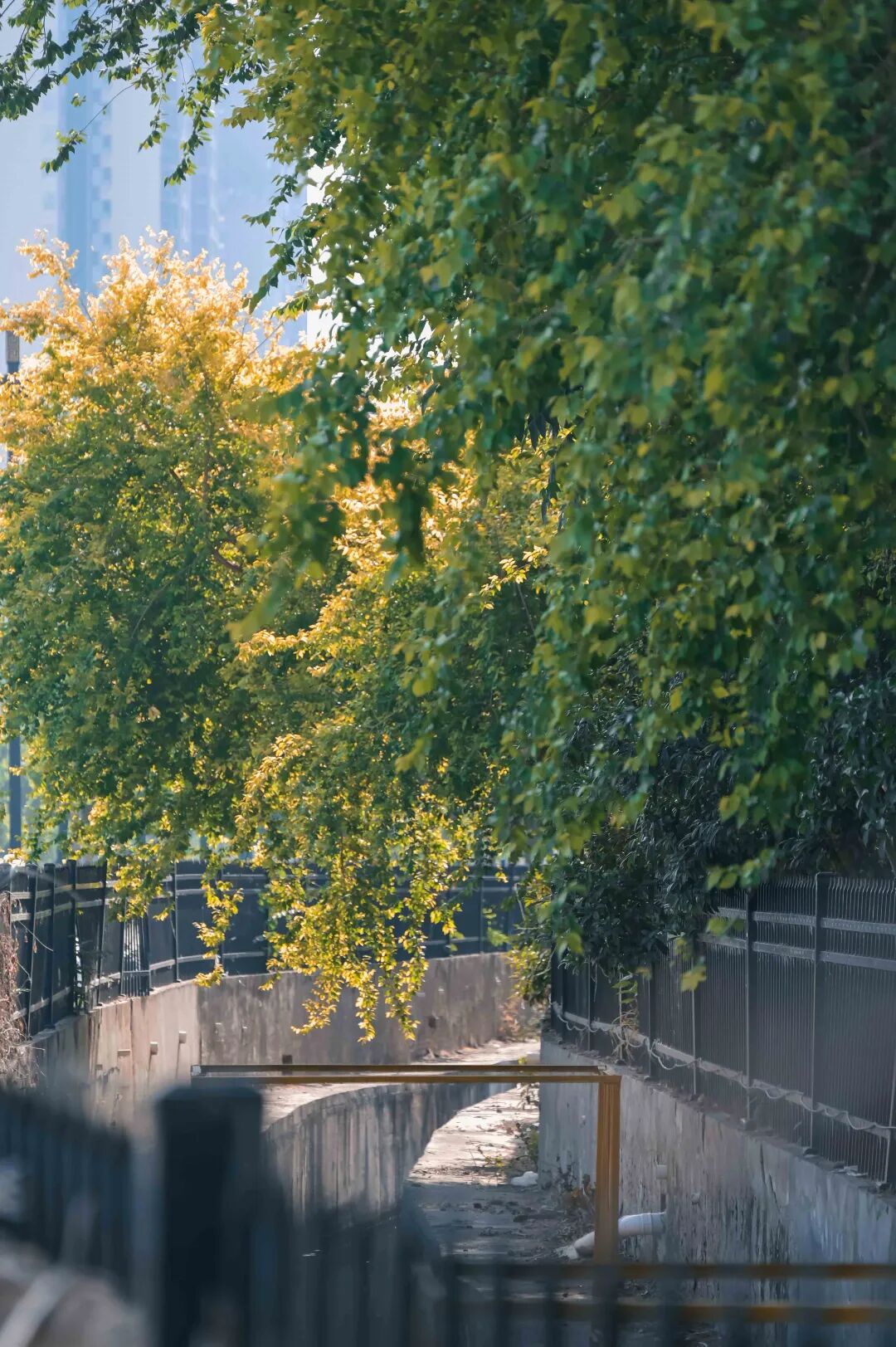 在地文化导向下二郎庙项目规划路径探析-27