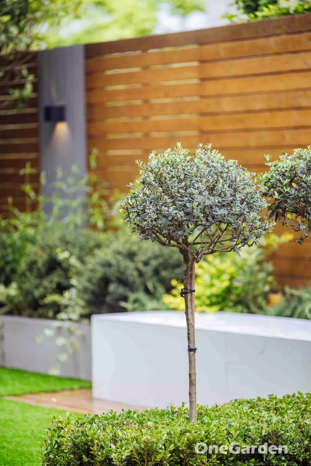 上海简约现代花园设计，实现建筑与自然的和谐共生-99