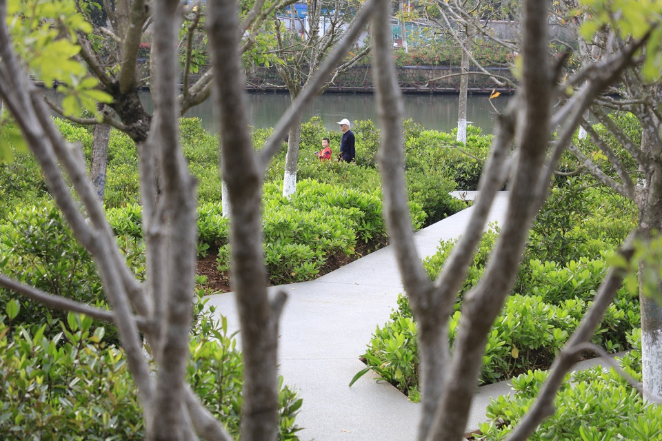 美舍河凤翔公园-30