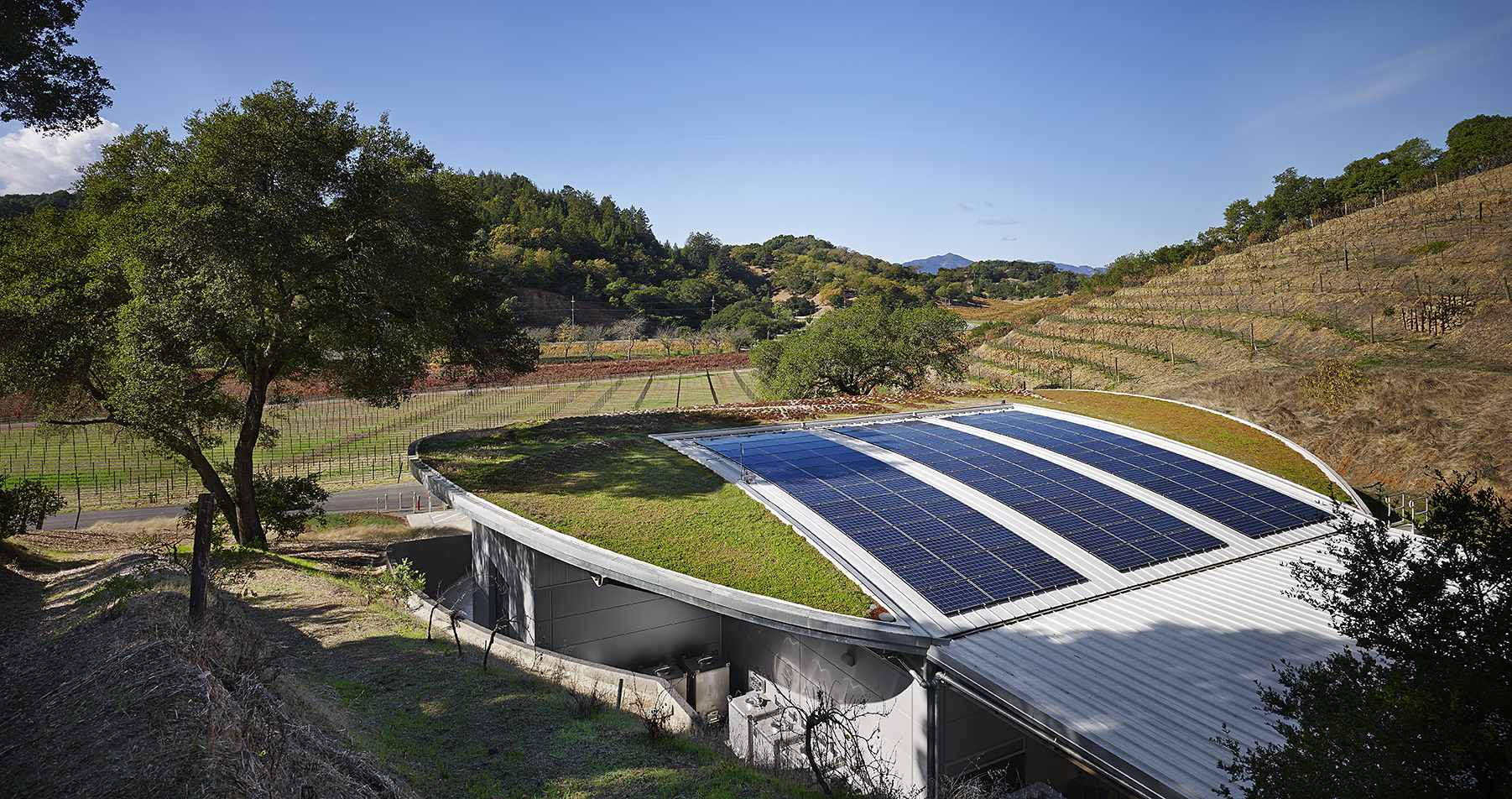 Odette Estate Winery | Signum Architecture-15