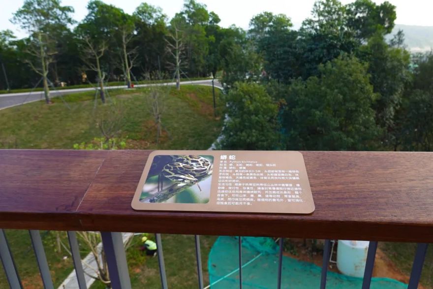 深圳龙岗区嶂背郊野公园丨中国深圳丨深圳翰博设计股份有限公司-69