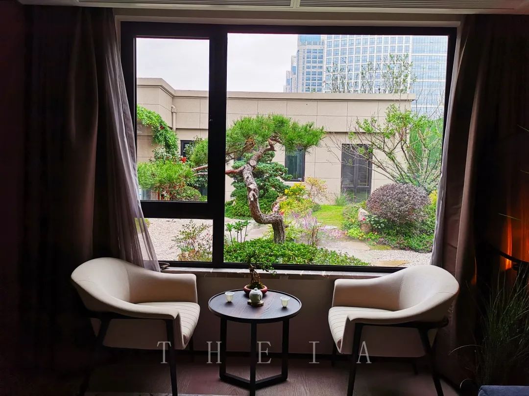 迪赛·东篱 | 闲田信步，采菊东篱-57