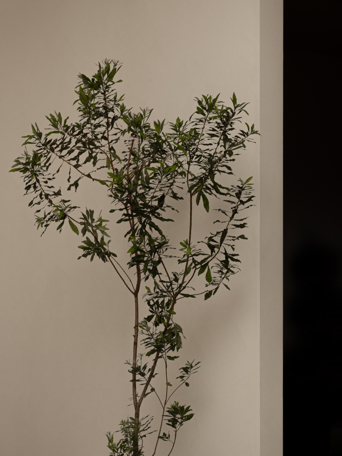 Karimoku Case 2026米兰展展厅丨意大利米兰-19