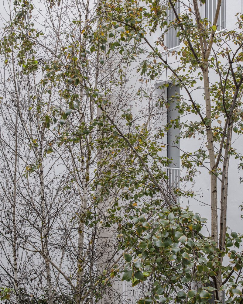 Praga 住宅大楼丨西班牙巴塞罗那丨ARQUITECTURAG-28