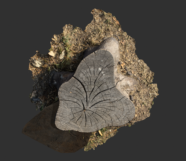 Tocón 建筑模型-32