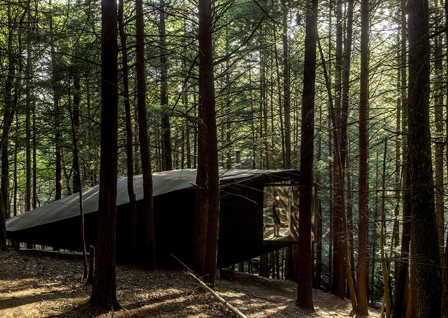 Tiny Blackened Timber Cabin in a Forest in Upstate New York-6