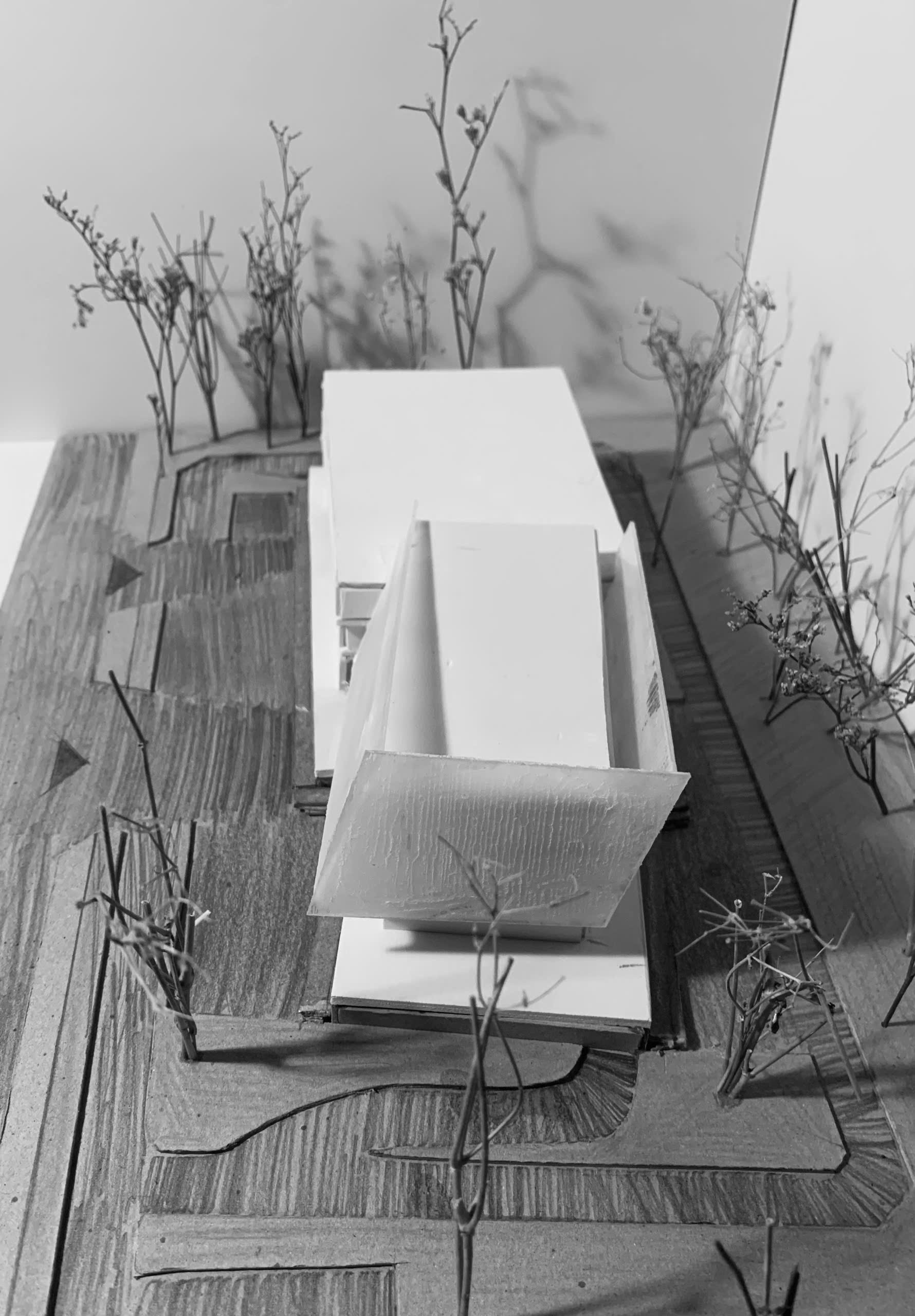 CONTEMPORARY MUSEUM | ARCHITECTURE PROJECT 11-22