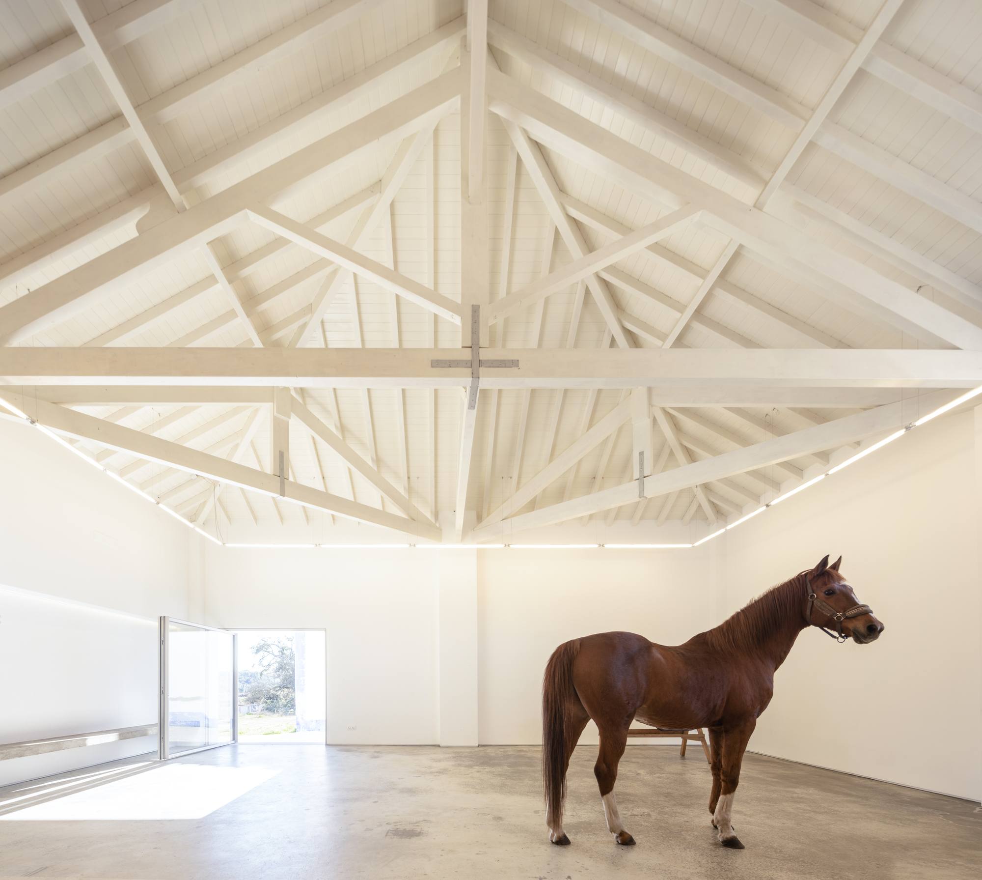 Landscape Observatory of Charneca / Joao Morais-24