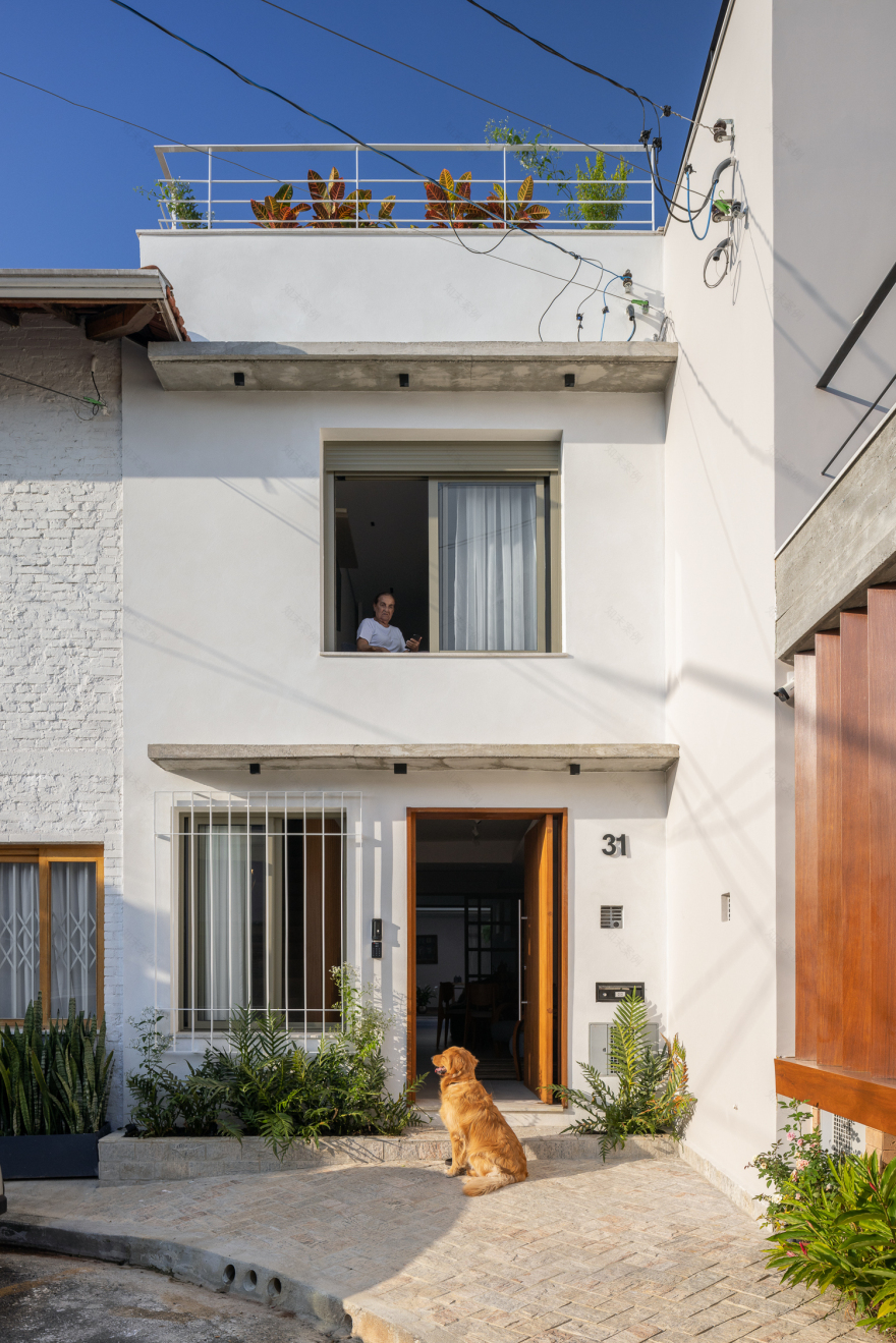 冈萨雷斯·蒙泰罗之家丨巴西圣保罗丨Alvorada Arquitetos-9