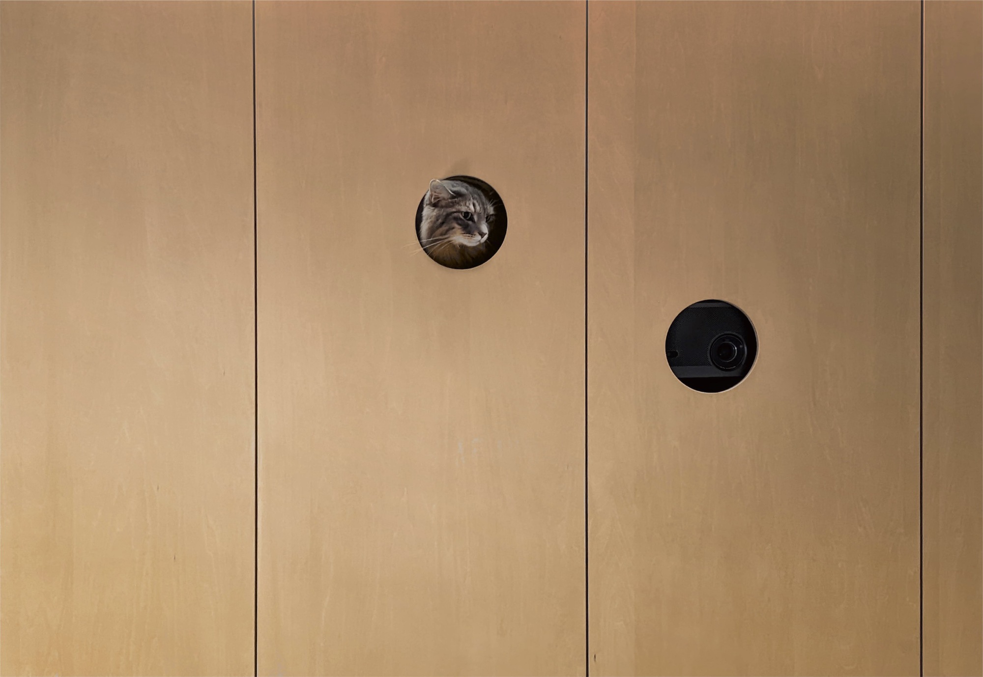 博科之家丨日本丨Hiroyasu Imai-16