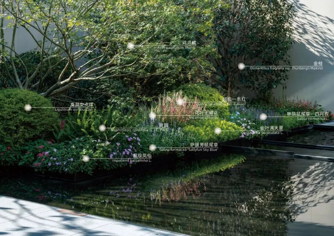 重新组合自然美 · 植物设计浅谈丨中国南京-50