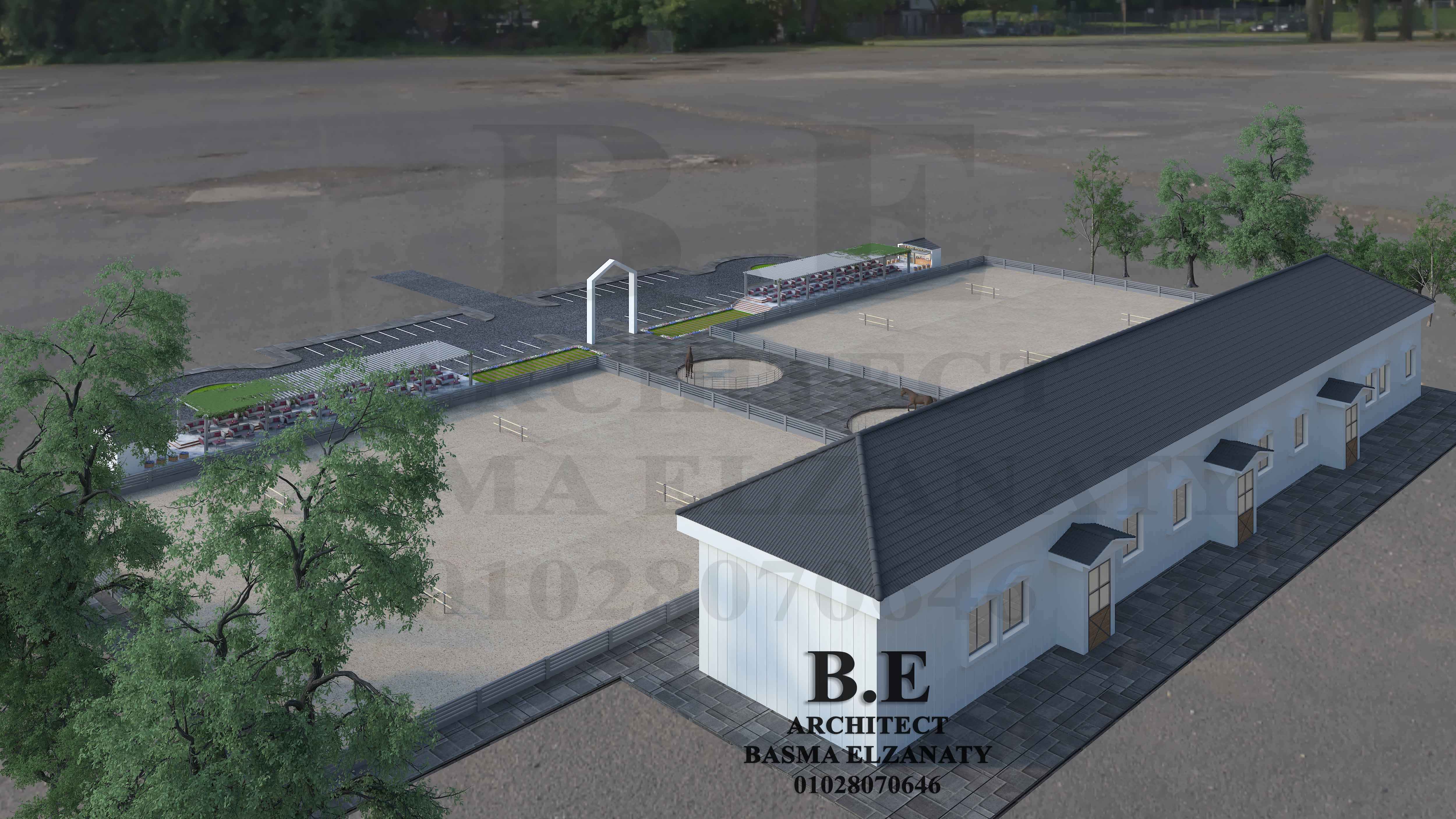 Horse club in Zagazig-8